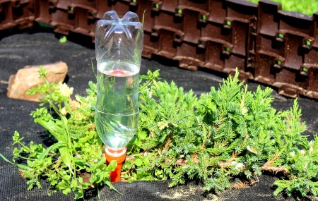 Бутылка для полива комнатных растений